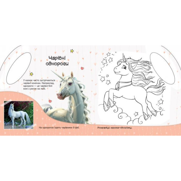 Книга з наклейками Книга з наклейками