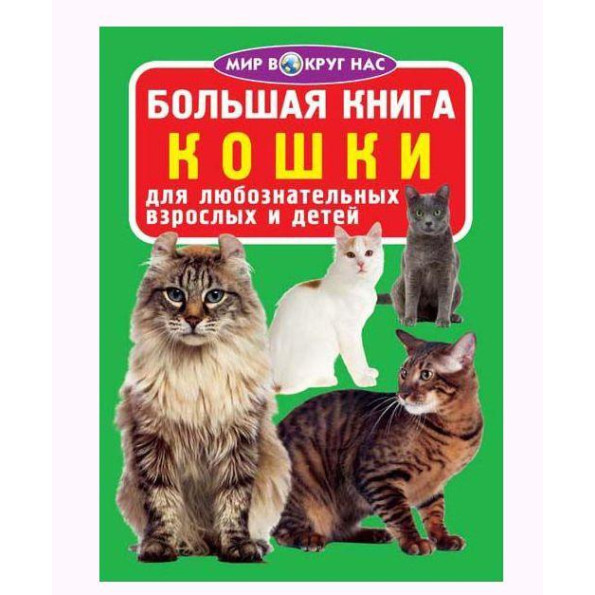 Книга Книга