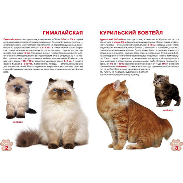 Книга Книга