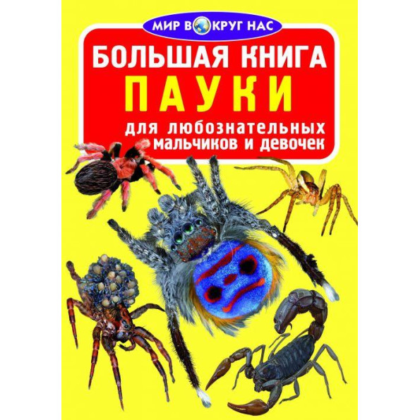 Книга Книга