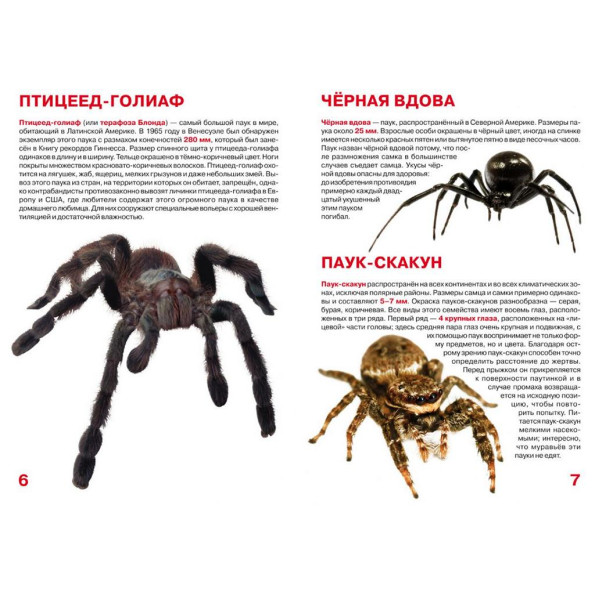 Книга Книга