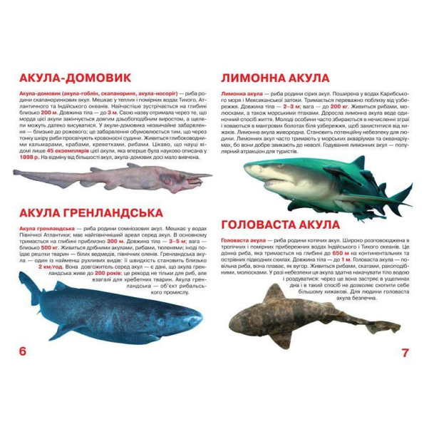 Книга Книга