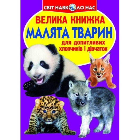 Книга Книга