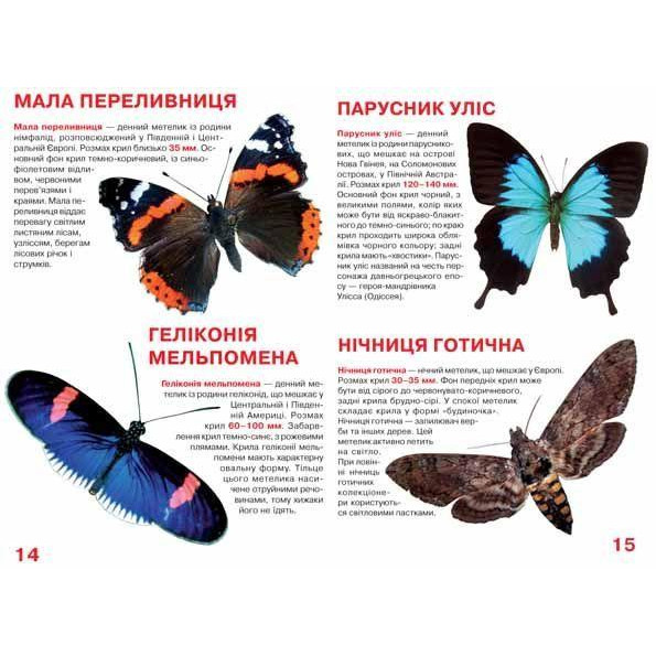 Книга Книга