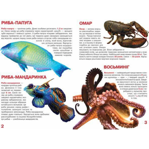 Книга Книга