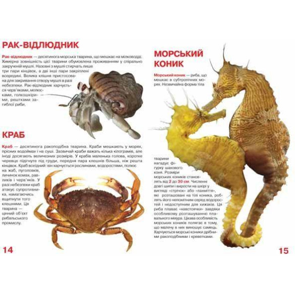 Книга Книга