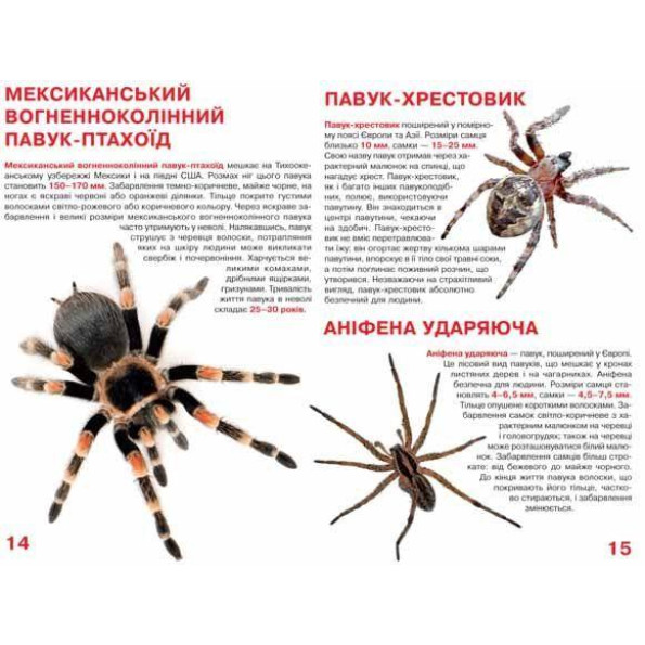 Книга Книга