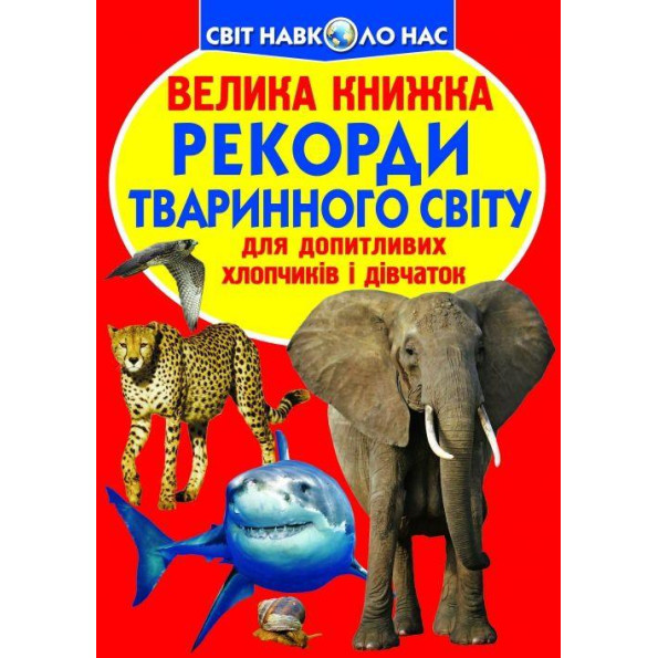 Книга Книга