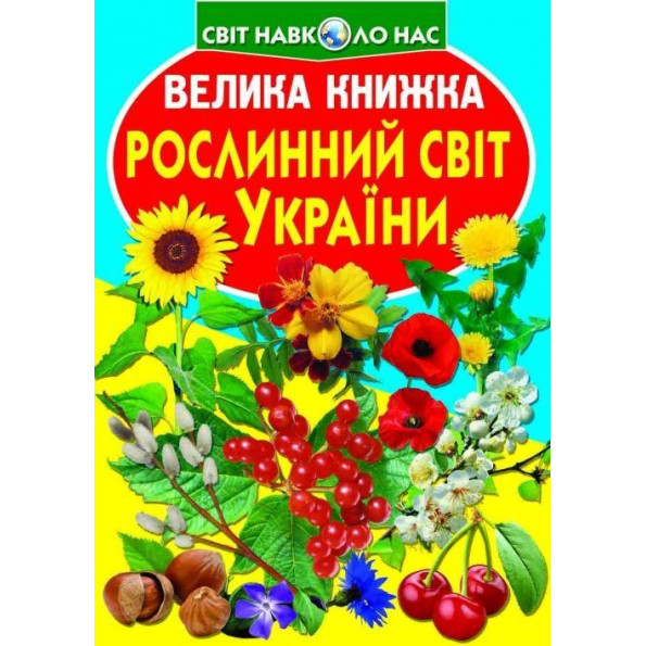 Книга Книга