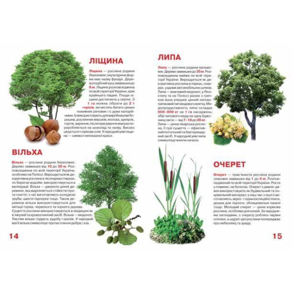Книга Книга
