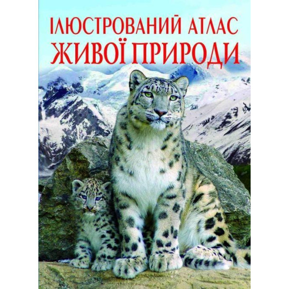 Книга Книга