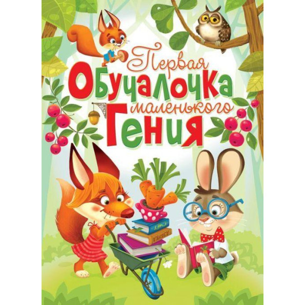 Книга-картонка 