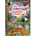 Книжка-гармошка 