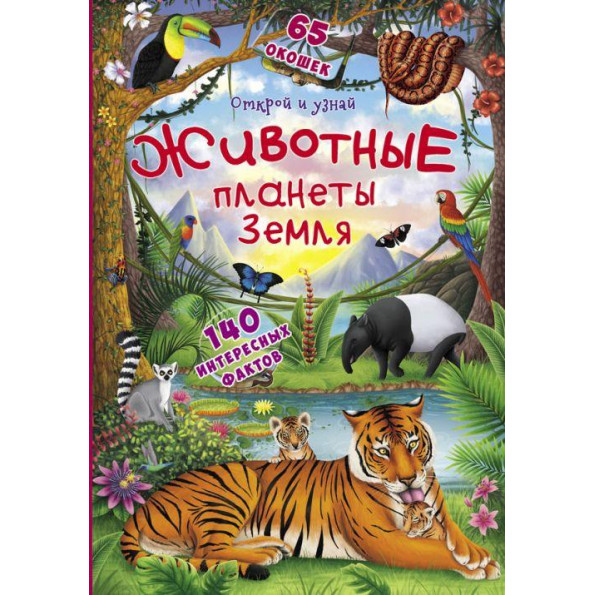 Книжка-гармошка Книжка-гармошка