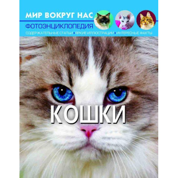 Книга: Багаторазові Супернаклейки. динозаври Книга: Багаторазові Супернаклейки. динозаври