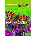 Обучающая книжка 
