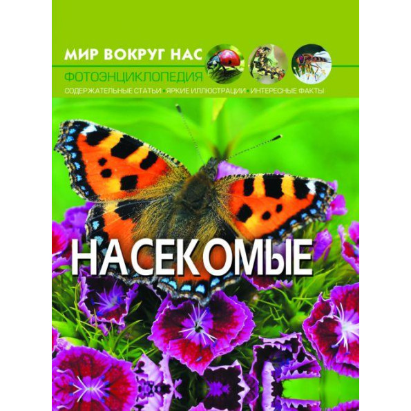 Обучающая книжка 