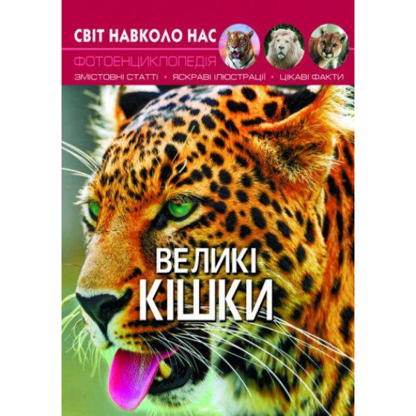 Книга Книга