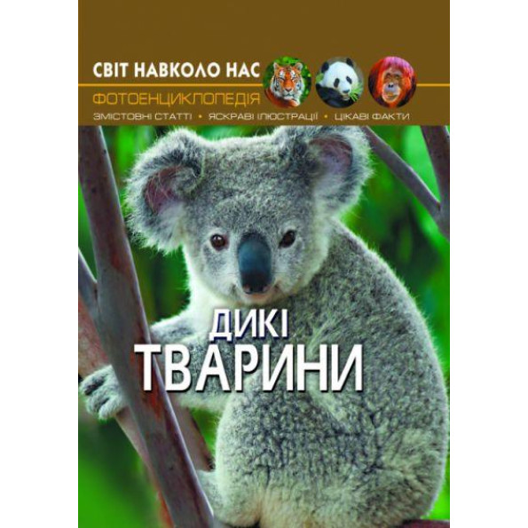 Книга Книга