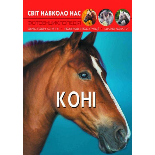Книга Книга