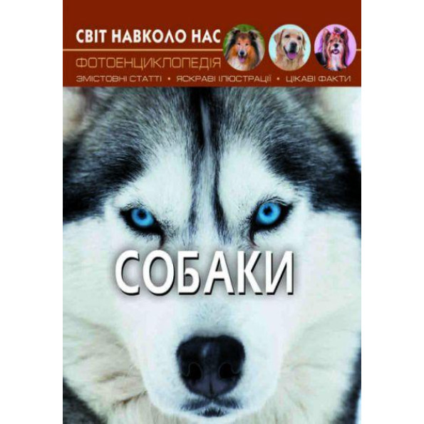 Книга Книга
