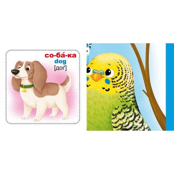 Розумні картки. Домашні тварини. 30 карток, укр -
                                                        Фото 2