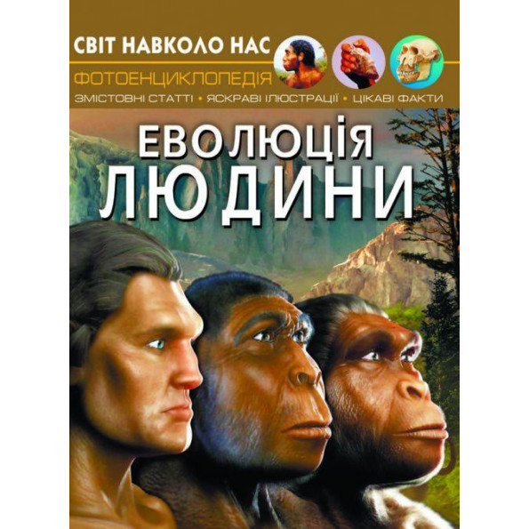 Книга Книга