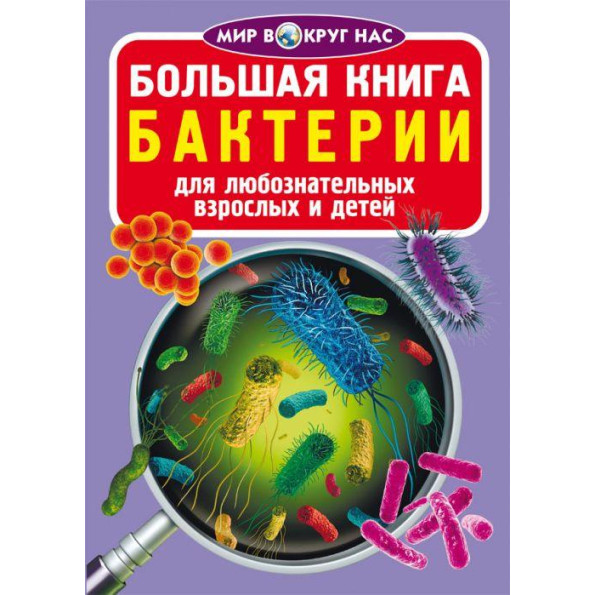 Книга 