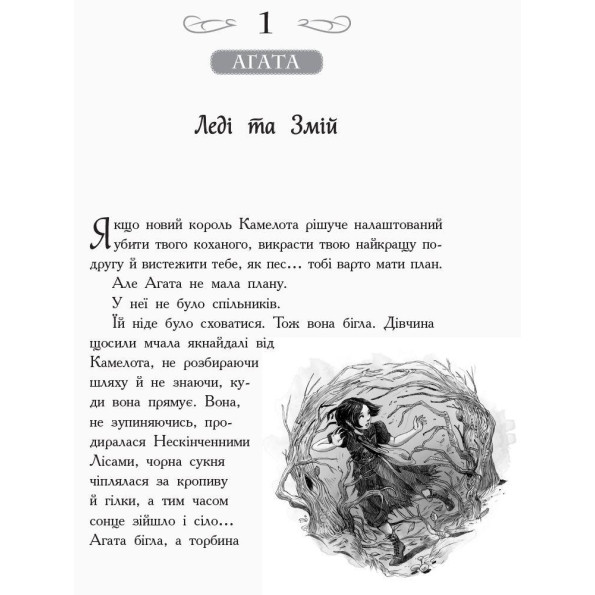 Школа Добра і Зла. книга 5 -
Фото 2 Школа Добра і Зла. книга 5 -
Фото 2