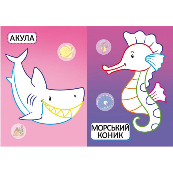 Книга Книга