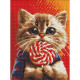 Алмазная мозаика "Котик с конфетой" 30х40 см -
                                                        Фото 1