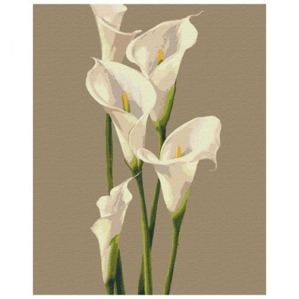 Картина за номерами "Ніжність" -
                                                        Фото 1