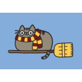 Картина по номерам "Meow", 28х40 см