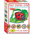 Игра 