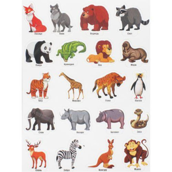 Набор магнитов 