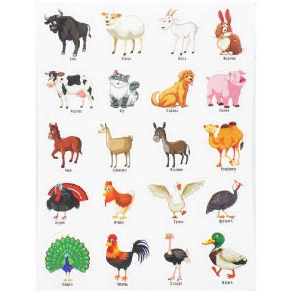 Набор магнитов 