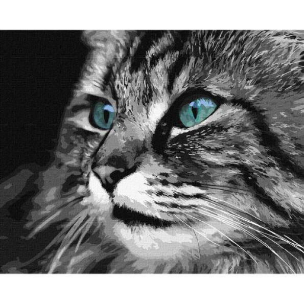 Картина по номерам 