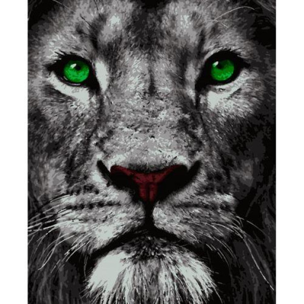 Картина по номерам 