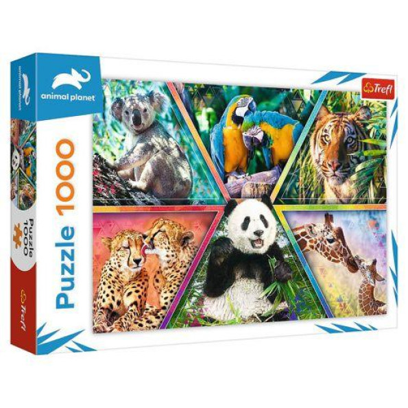 Пазлы Пазлы