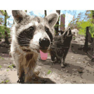 Картина по номерам 