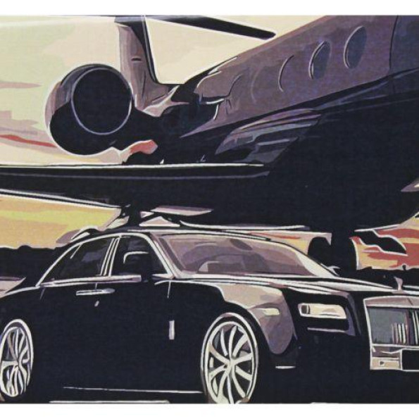 Картина по номерах 0554 ОРТ Лiтак у щасливе життя 40*50