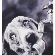 Картина по номерах 0565 ОРТ кол. Щеняча жага 40*50