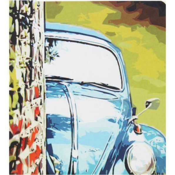 Картина по номерах 0582 ОРТ кол. Погляд iз-за кута 40*50