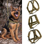 Шлея Эконом одинарная 35 мм Шлея Эконом одинарная 35 мм