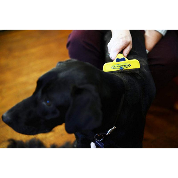 Фурминатор с кнопкой для собак с длинной шерстью Размер L (100 мм ширина лезвия) -
Фото 7 Фурминатор с кнопкой для собак с длинной шерстью Размер L (100 мм ширина лезвия) -
Фото 7