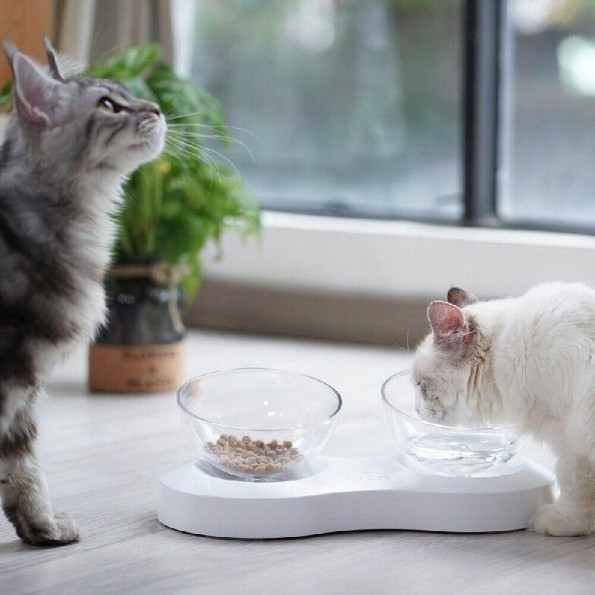 Миски на подставке Infinite Future 339,529,5см -
                                                        Фото 3