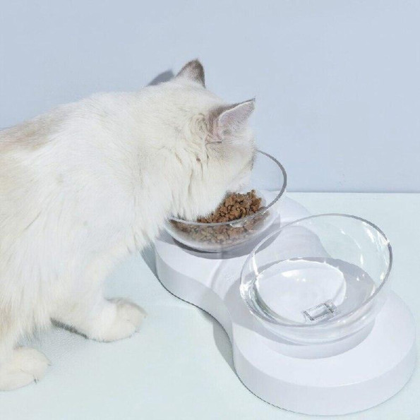 Миски на подставке Infinite Future 339,529,5см -
                                                        Фото 4