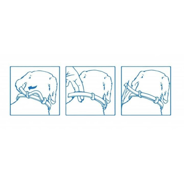 Форесто (Foresto) — нашийник від бліх і кліщів, Bayer 70см -
                                                        Фото 2