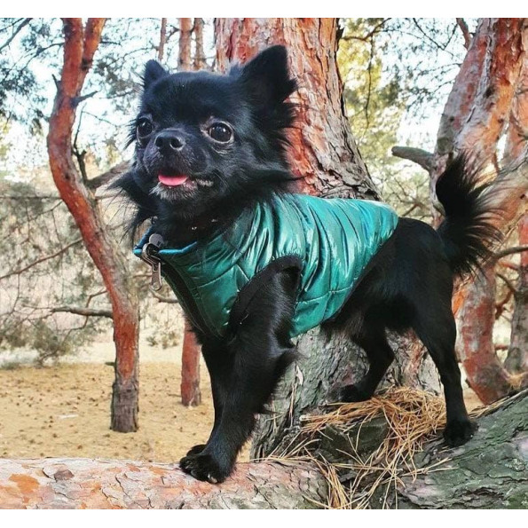 Ліссабон жилет для собак DogLove двосторонній темно-зелений S3 -
                                                        Фото 3