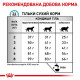 Royal Canin Hypoallergenic DR25 Feline сухой корм для кошек (Роял Канин Гипоаллергенный Фелин) 0,5 кг -
                                                        Фото 2